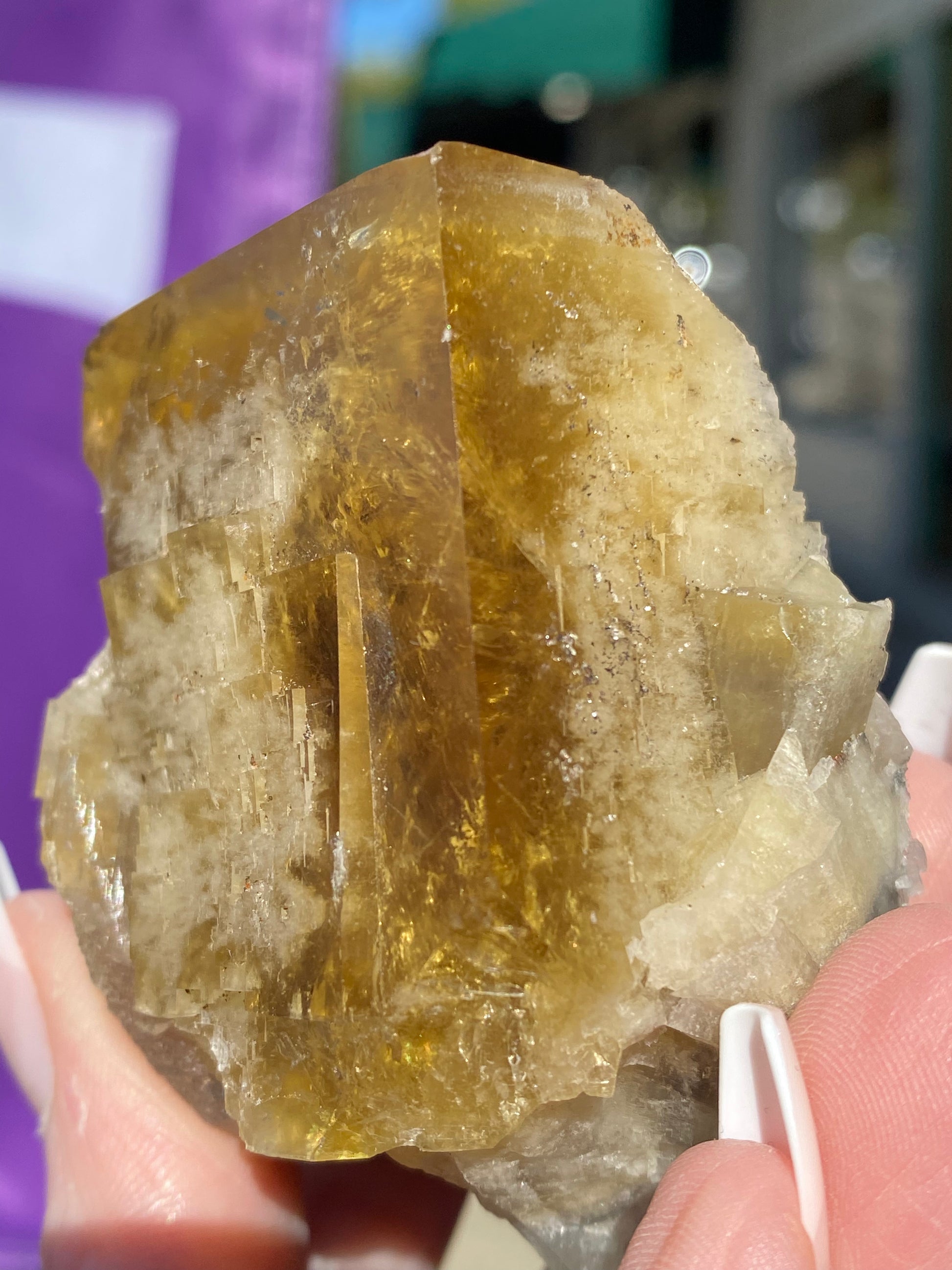 A person holds a large, translucent Fluorite from the Honey Bear Pocket at the Diana Maria Mine, Frosterley, Weardale, Co. Durham, England. The crystal features visible striations and rough edges with its golden-yellow hue brought to life by sunlight. The blurred background suggests an outdoor setting as it enhances both the color and transparency of this piece from The Crystalary (SKU 3023).