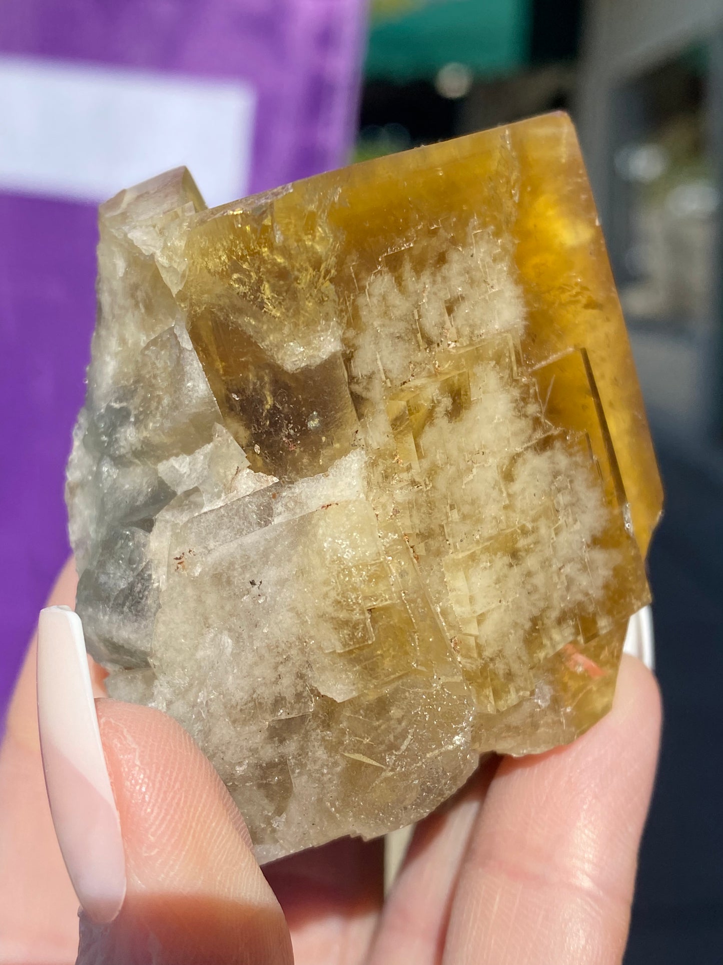 A hand displays a striking piece from The Crystalary, featuring a large, translucent yellow Fluorite with rough, angular surfaces. Sunlight accentuates its texture and clarity against a backdrop tinged with purple and green hues. This captivating specimen originates from the Honey Bear Pocket at the Diana Maria Mine in Frosterley, Weardale, Co. Durham, England (SKU 3023).