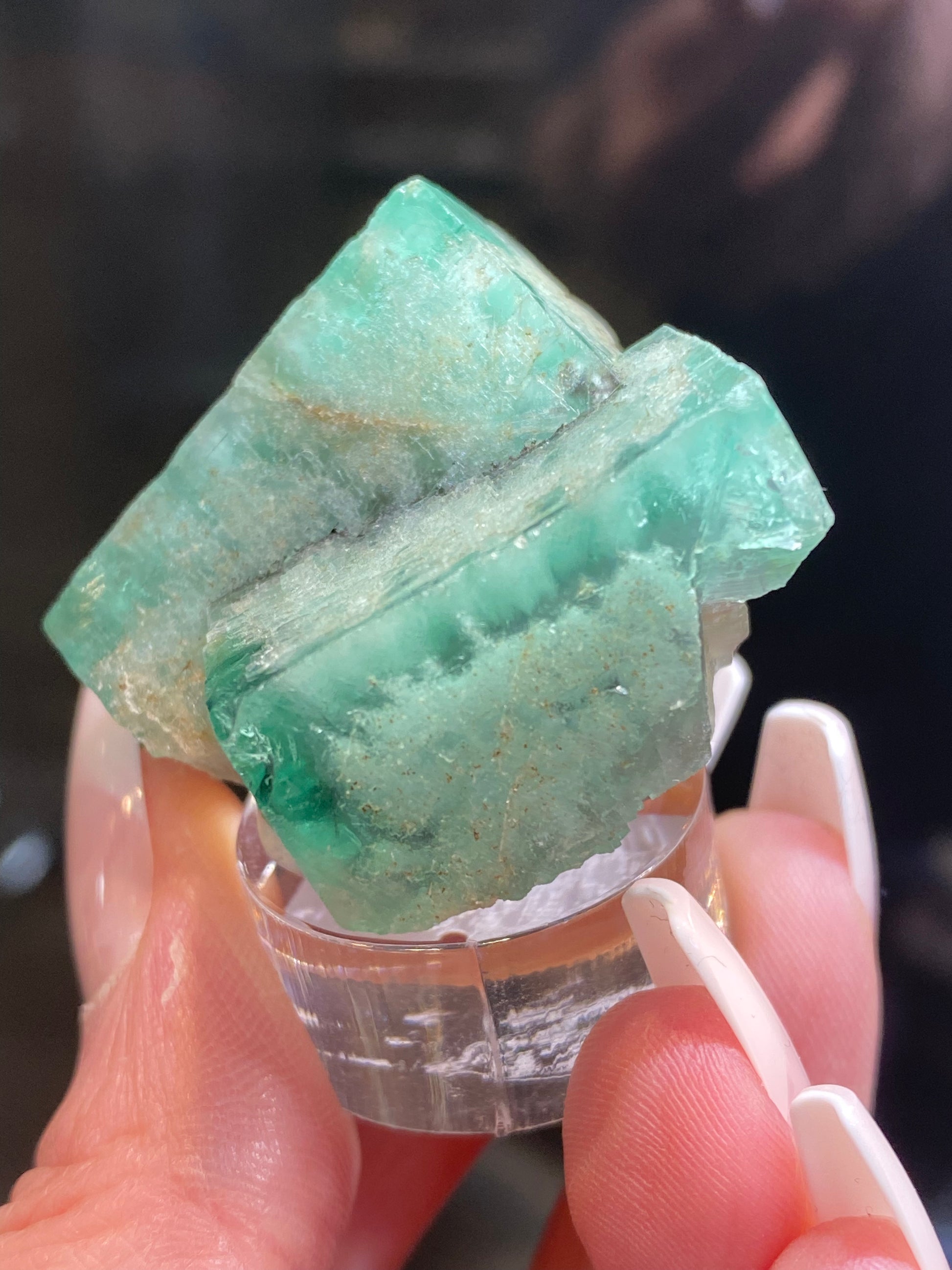 Close-up of a hand holding the Fluorite- Minty Cheesecake Pocket, sourced from the Lady Annabella Mine in Eastgate, Weardale, Co. Durham, England by The Crystalary (SKU 3022). The large, rough green crystal is resting on a clear stand, with long, white manicured nails standing out against the dark, slightly blurred background.