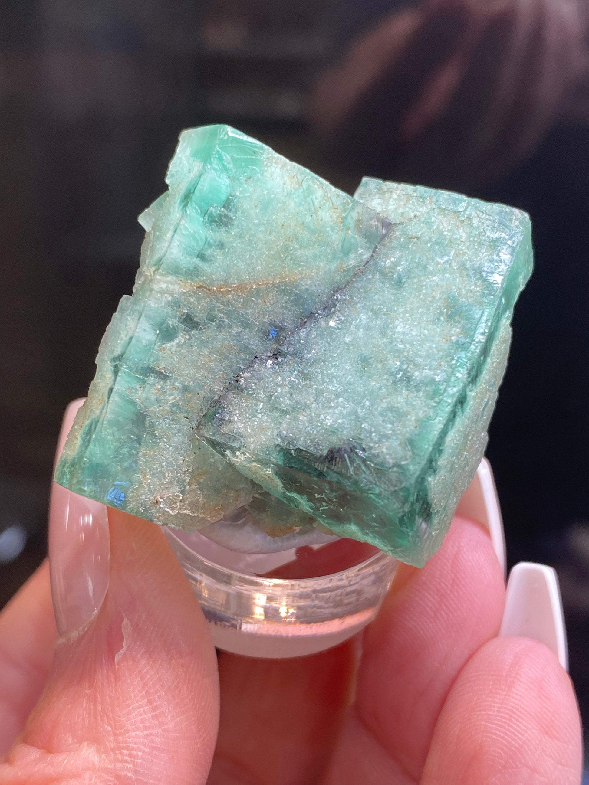 In a close-up shot, a hand holds a translucent green mineral known as the Fluorite - Minty Cheesecake Pocket from the Lady Annabella Mine. Its rough texture and cubic formations are accentuated against a dark background while it rests gracefully on a clear circular stand, capturing the vibrant hue reminiscent of minty cheesecake. This striking piece is part of The Crystalary collection and bears sku 3022.