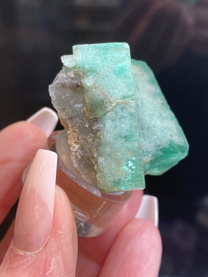 A hand with manicured nails holds a piece of Fluorite - Minty Cheesecake Pocket from the Lady Annabella Mine in Eastgate, Weardale, Co. Durham, England. The crystal's rough and translucent texture is showcased beautifully as it is mounted on a clear stand against a dark background that accentuates its vivid color. This stunning piece is from The Crystalary collection and has the SKU 3022.