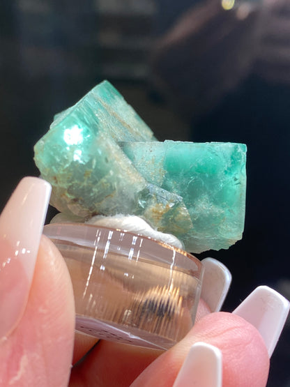 A person holds a small, transparent container featuring the Fluorite - Minty Cheesecake Pocket from The Crystalary, sourced from the Lady Annabella Mine in Eastgate, Weardale, Co. Durham, England (sku 3022). The vibrant green mineral specimen boasts a layered structure with rough edges reminiscent of minty cheesecake. The person's nails are long and painted in a light color.