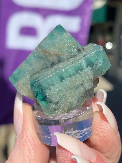 A close-up features hands with long, manicured nails holding the "Fluorite - Minty Cheesecake Pocket" from The Crystalary, sourced from the Lady Annabella Mine in Eastgate, Weardale, Co. Durham, England. This translucent green and blue crystal exhibits rough edges and is elegantly displayed on a clear stand against a blurred backdrop with hints of purple and green. (SKU 3022)