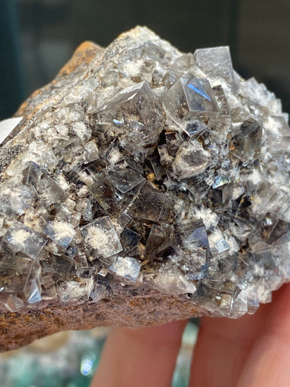 Close-up of a hand holding a "Fluorite- Smoky Rabbit Pocket" from The Crystalary, sourced from the Diana Maria Mine in Frosterley, Weardale, Co. Durham, England. This stunning piece (sku3017) is adorned with numerous shiny, translucent crystals on its surface. The small cubic fluorite cluster reflects light with a slight metallic sheen, while the rock base contrasts in a rich brown color.