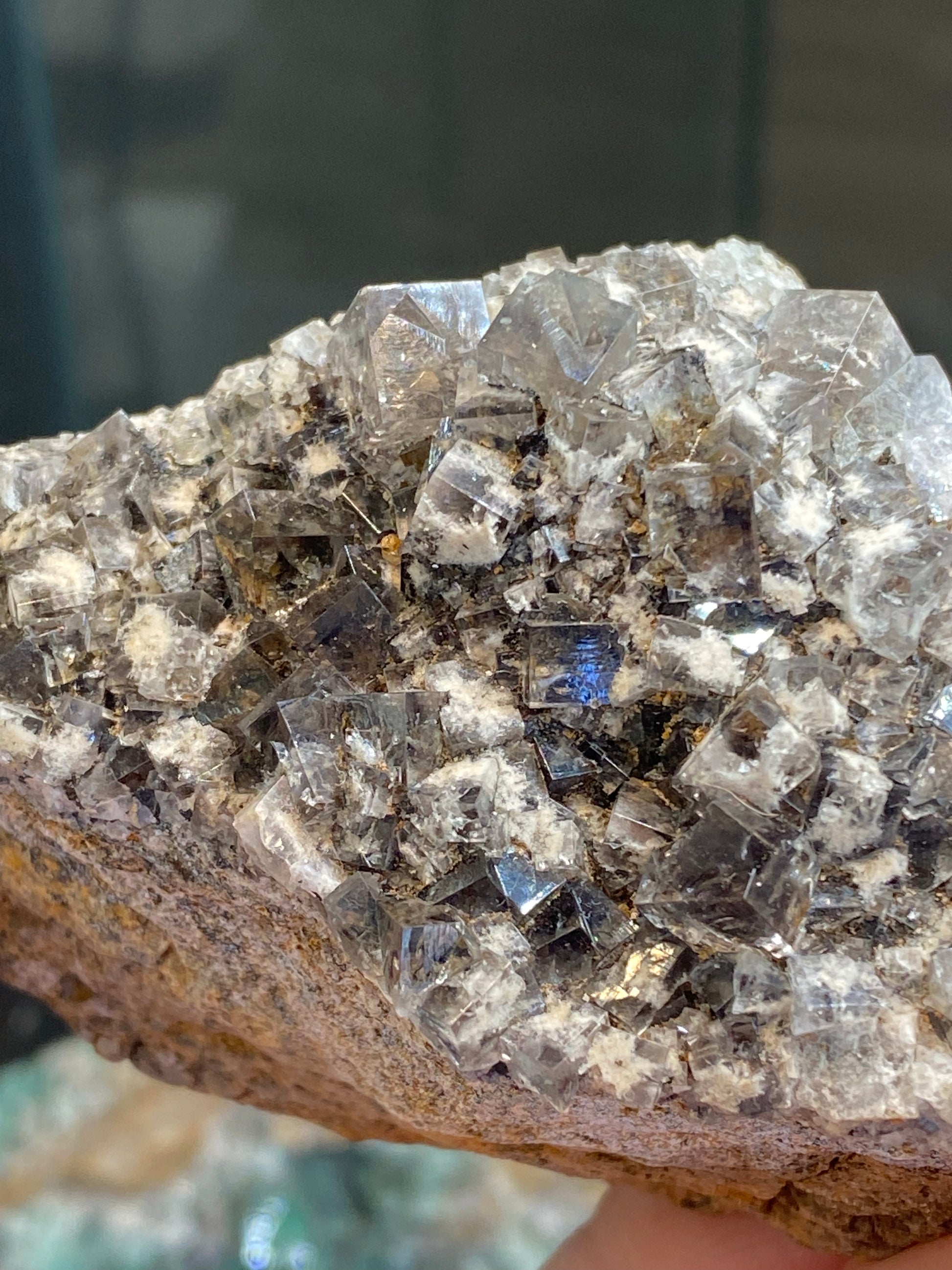 Close-up of a hand holding a stunning Fluorite from The Crystalary, sourced from the Smoky Rabbit Pocket at the Diana Maria Mine in Frosterley, Weardale, Co. Durham, England (SKU: sku3017), revealing transparent and shiny geometric crystals on a rock. These crystals beautifully reflect light, showcasing their facets and textures with mixed silver and gray tones throughout.