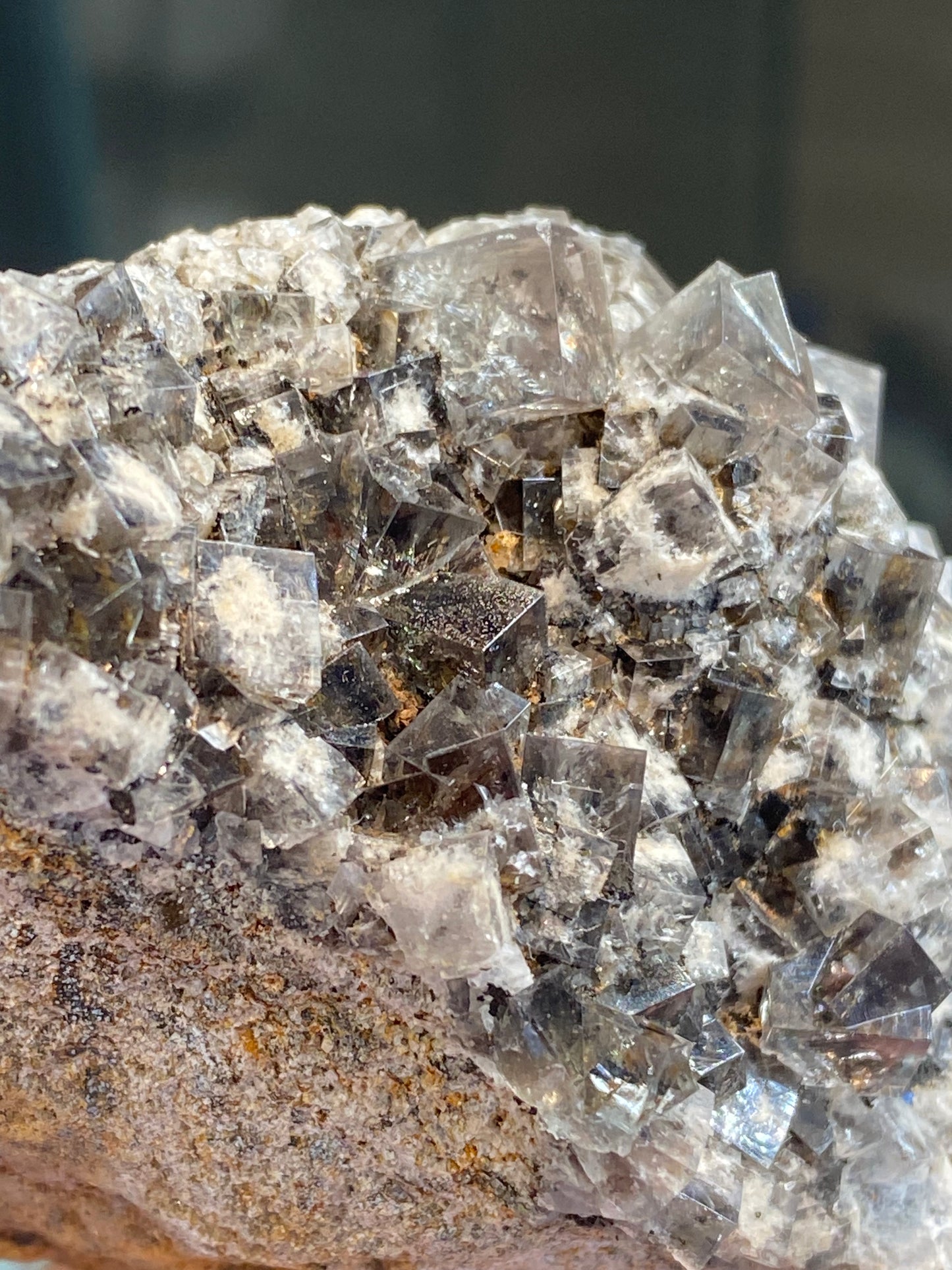 A close-up view of the Fluorite - Smoky Rabbit Pocket from Diana Maria Mine, available through The Crystalary, reveals translucent crystals in gray and white tones. These crystals form shiny geometric shapes on the rugged surface of a brownish rock.