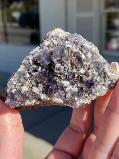 In sunlight, a person holds a Fluorite crystal from the Smoky Rabbit Pocket, Diana Maria Mine collection by The Crystalary. The rock features purple and clear formations that glisten beautifully, while the softly blurred background highlights the intricate details of sku3017.