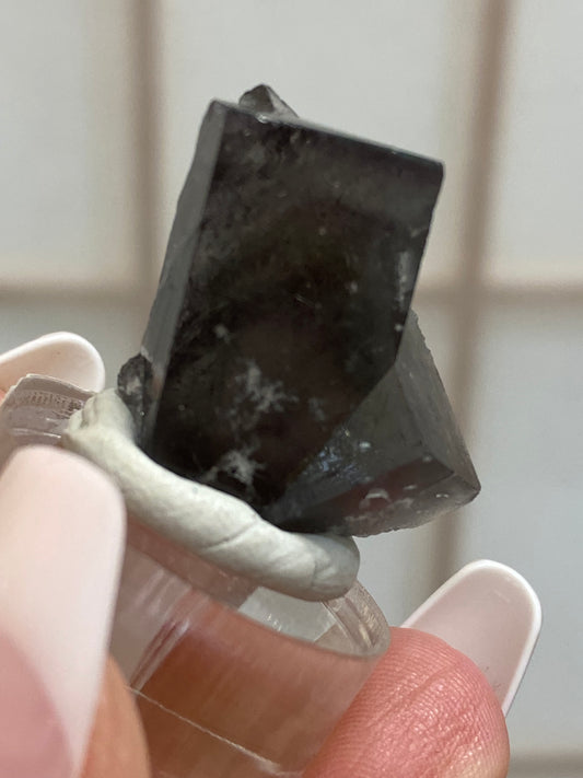 A person with long nails gently holds a small, dark gem from The Crystalary's LIVE- Cheerbow- 10/18/24 collection. The 22-faceted fluorite crystal is elegantly displayed on a clear plastic stand with a subtle touch of clay. In the blurred background, an intricate tiled pattern enhances the depth of the scene.