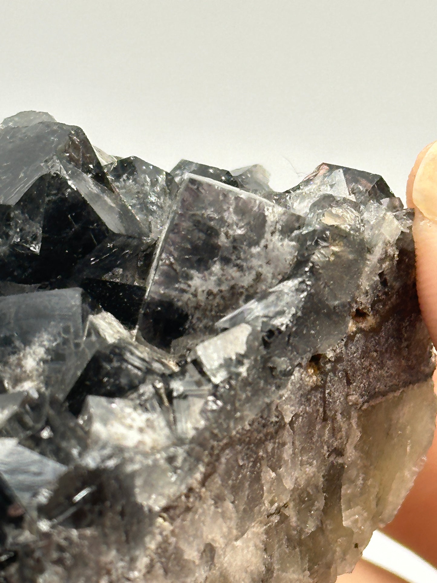 A close-up photo of a hand holding a Fluorite cluster from the Yum Yum Pocket at the Diana Maria Mine, Frosterley, Weardale, England. These crystals by The Crystalary feature dark, reflective formations with sharp edges and multiple facets. They vary in transparency with some areas appearing more opaque against a neutral, blurred gray background.