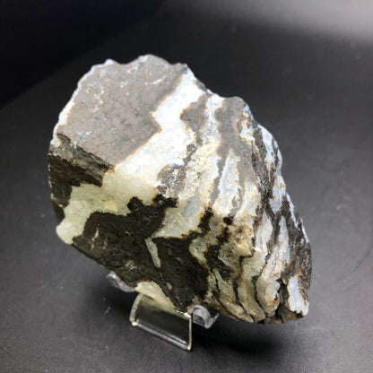 A rough chunk of AUCTION Zebra Agate from The Crystalary, showcasing layers of black, white, and gray, appears against a dark background. The layers create a distinct pattern across the rock's irregular surface, highlighting its natural formation with occasional druzy pockets. This self-standing rock is propped up on a small clear stand.