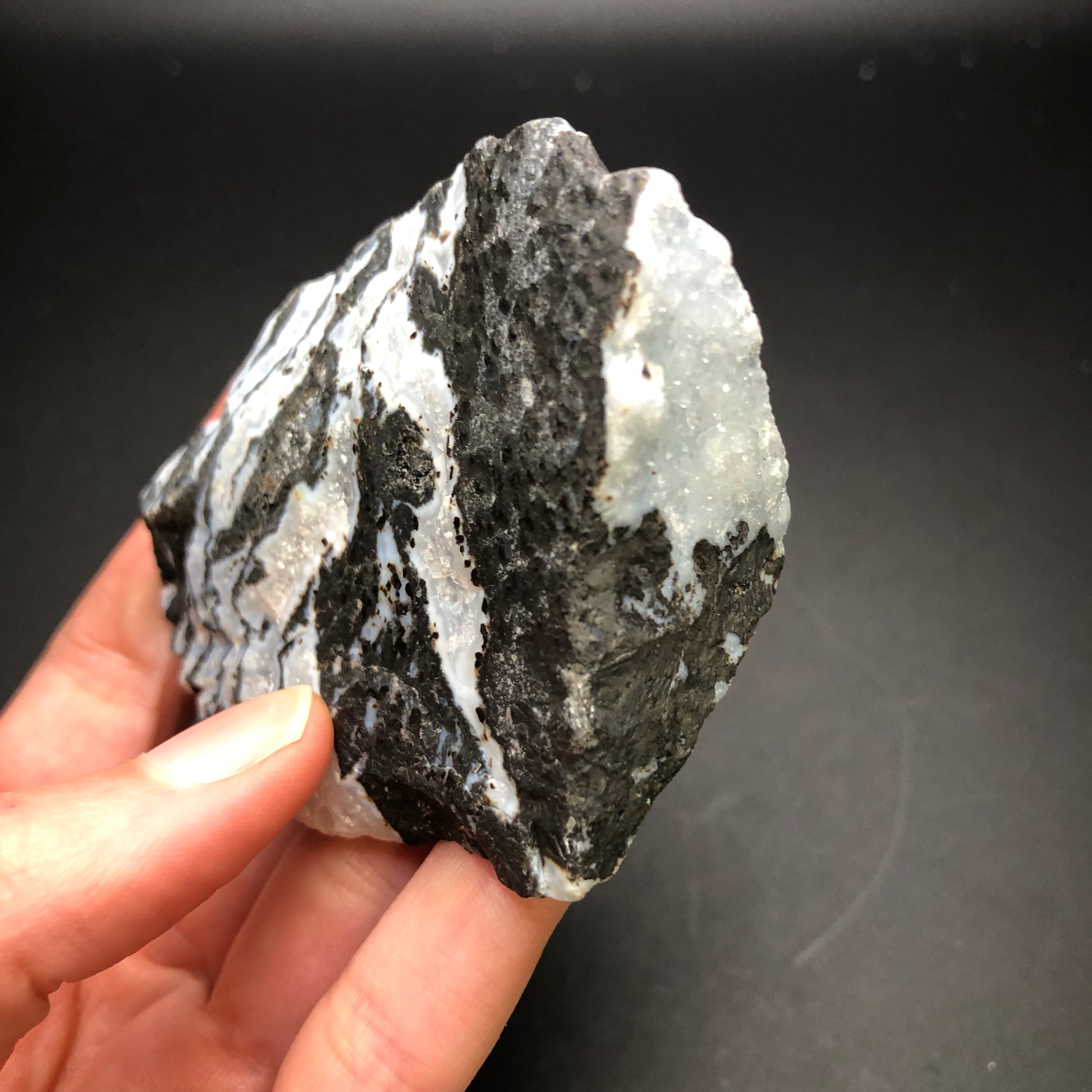 A hand holding the AUCTION Zebra Agate by The Crystalary, showcasing its dramatic black and white striped layers against a dark background. This specimen, of unknown locality, reveals rough textures with distinct mineral patterns and intriguing druzy pockets throughout its surface.