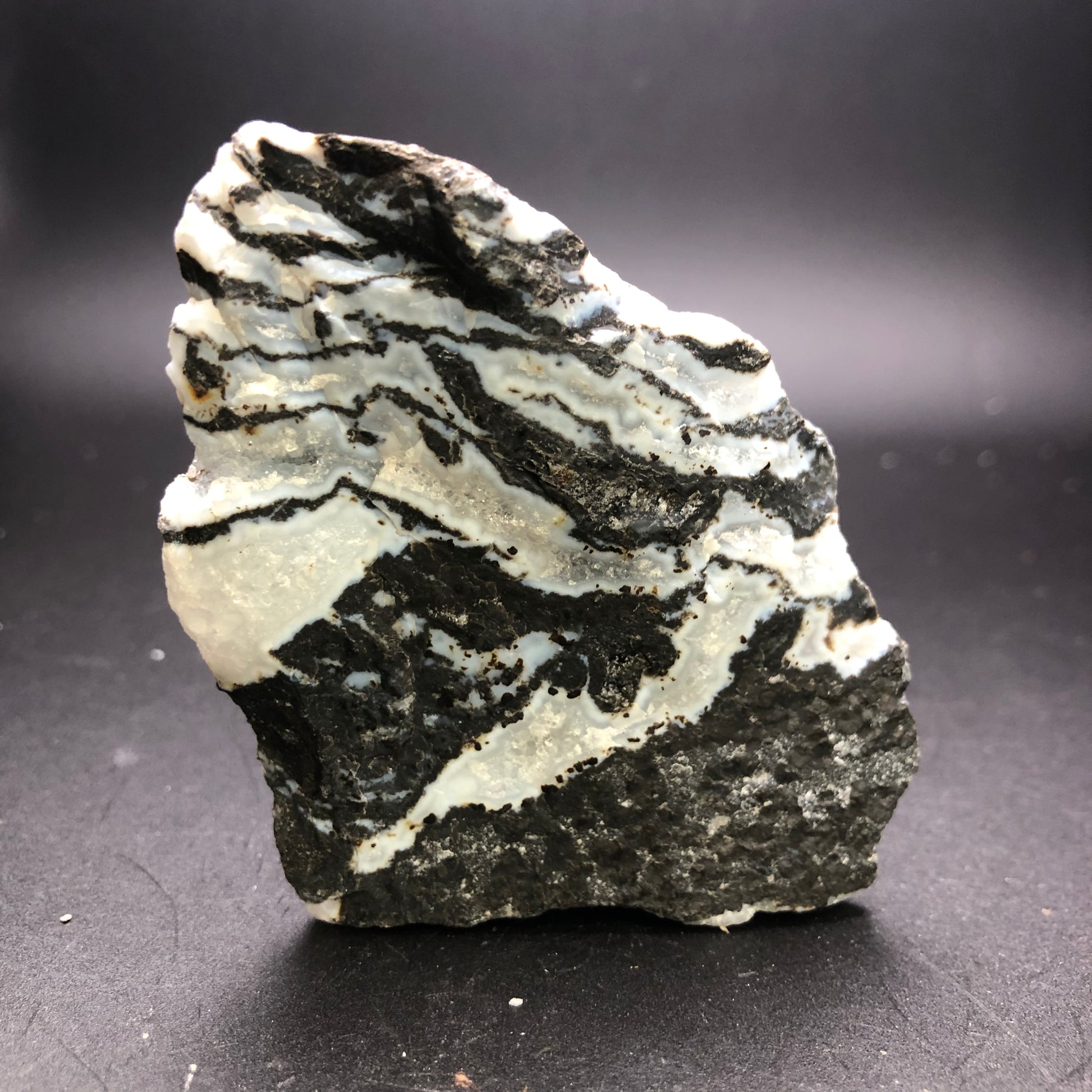 A close-up photograph of a chunk of AUCTION Zebra Agate from an unknown locality, available through The Crystalary, on a dark background. The rock exhibits a striking pattern with zigzagging black and white layers, creating a visually intriguing contrast. The texture ranges from smooth to slightly rugged in certain areas.