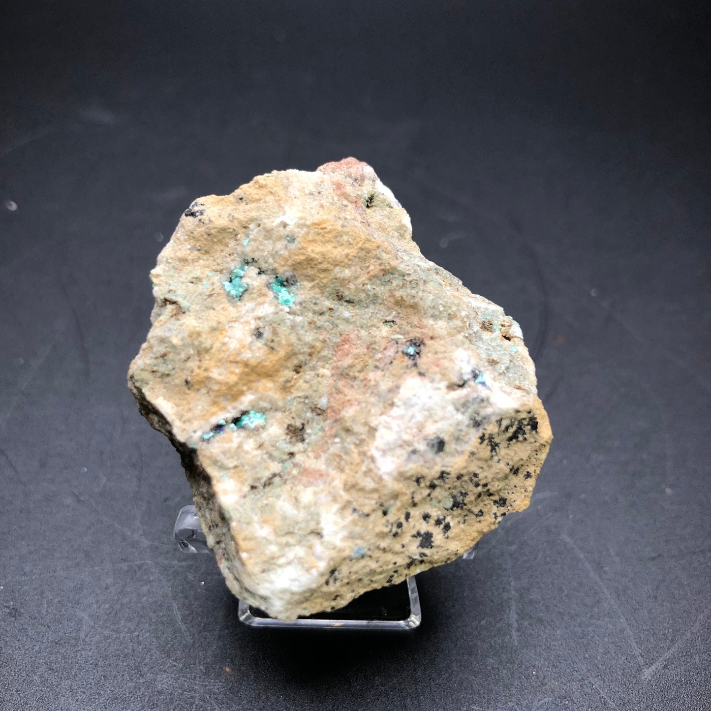 A rough, light-colored mineral rock with small specks of green and black sits on a dark surface. This Theisite specimen, sourced from Tucker's Tunnel in Tuckerville, Hinsdale Co., Colorado by The Crystalary, has a slightly uneven texture and irregular shape, positioned on a small transparent stand for display.