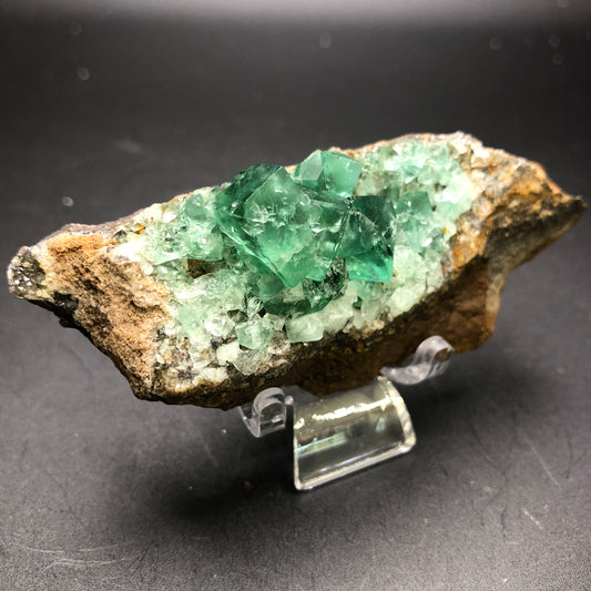 A vibrant green fluorite crystal rock from The Crystalary's AUCTION collection, sourced from the Diana Maria Mine in Frosterly, Weardale, Co. Durham, England, is displayed on a clear stand against a dark background. The cubic and well-formed crystals contrast sharply with the rough rock matrix.