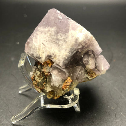 A vibrant mineral rock from The Crystalary, resembling Purple Fluorite, features hues of purple and white with distinctive orange and brown inclusions. This impressive specimen, known as "AUCTION Fluorite- Cromwell Pocket," originates from the renowned Greenlaws Mine in Daddry Shield, Stanhope, County Durham, UK. Displayed on a clear plastic stand against a black background, the rock boasts a rough and irregular shape with angular facets and varying textures.