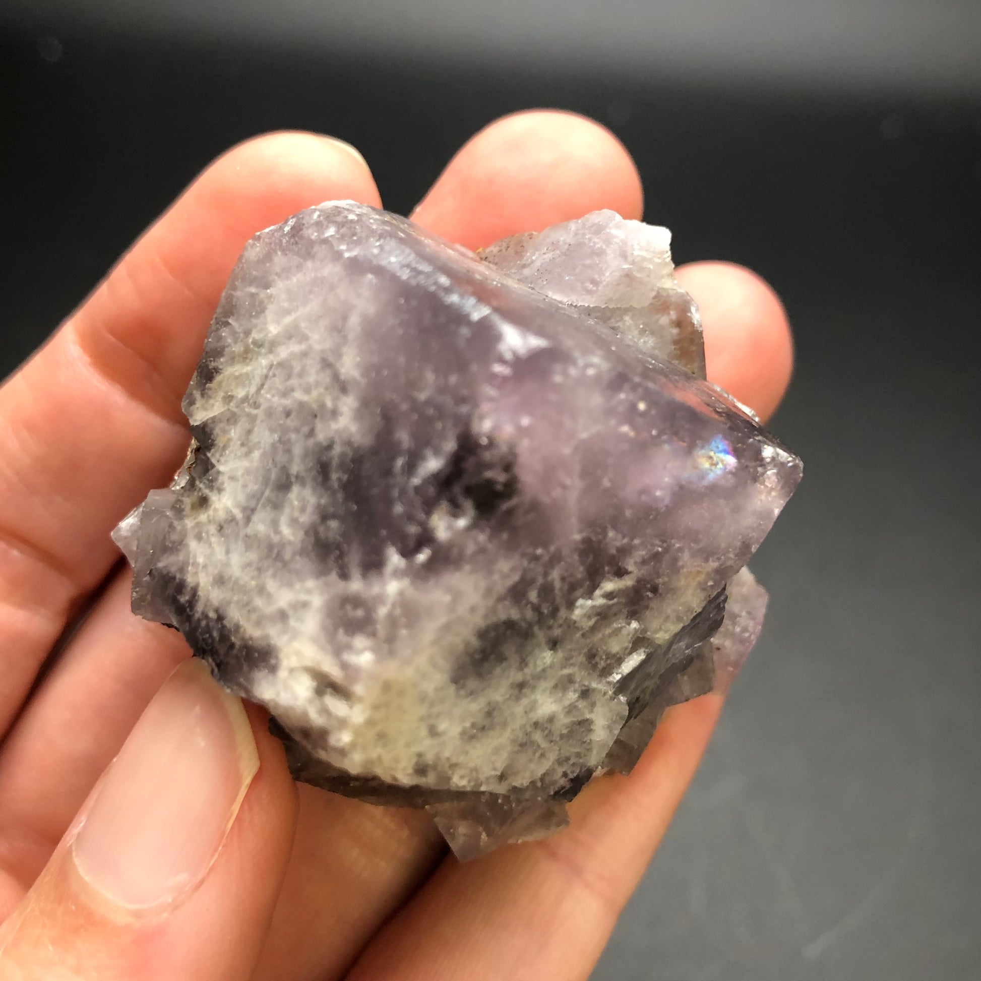 A hand holding an unpolished AUCTION Fluorite- Cromwell Pocket, Greenlaws Mine, Daddry Shield, Stanhope, County Durham, UK with a purple and white hue. The crystal from The Crystalary has a rough texture and angular edges. The background is out of focus and dark, emphasizing the fluorite's details.