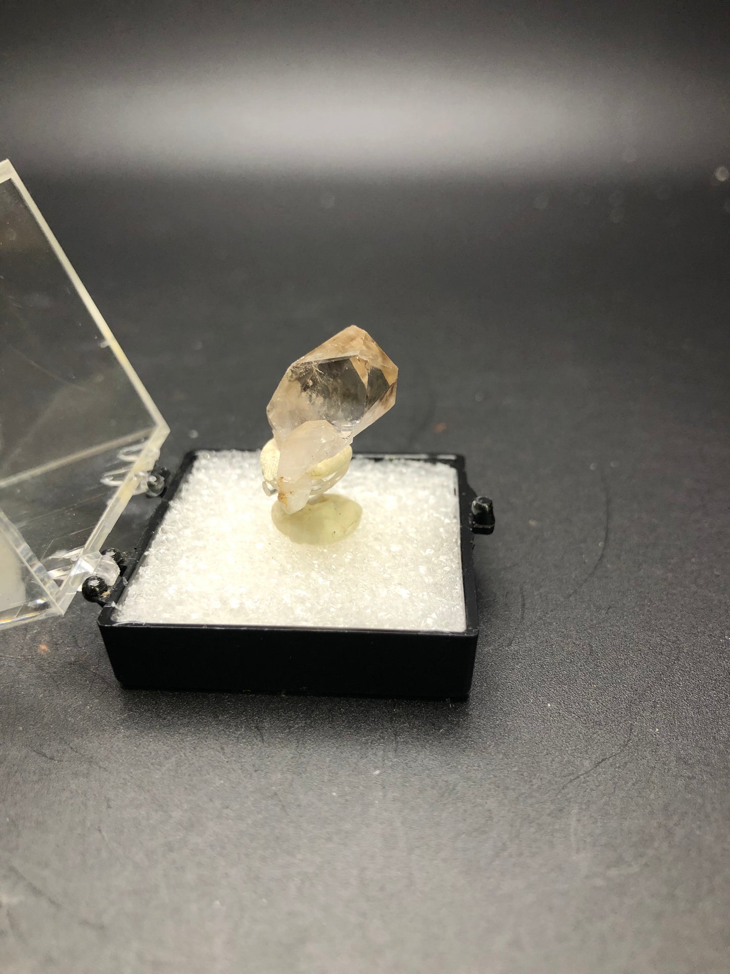 A small, clear, hexagonal crystal, known as the AUCTION Smoky Quartz from Minas Gerais, Brazil by The Crystalary, is displayed inside a black, open-lidded box with a white cushioned base. The background is dark and the miniature Smoky Quartz is slightly angled, showcasing multiple facets.