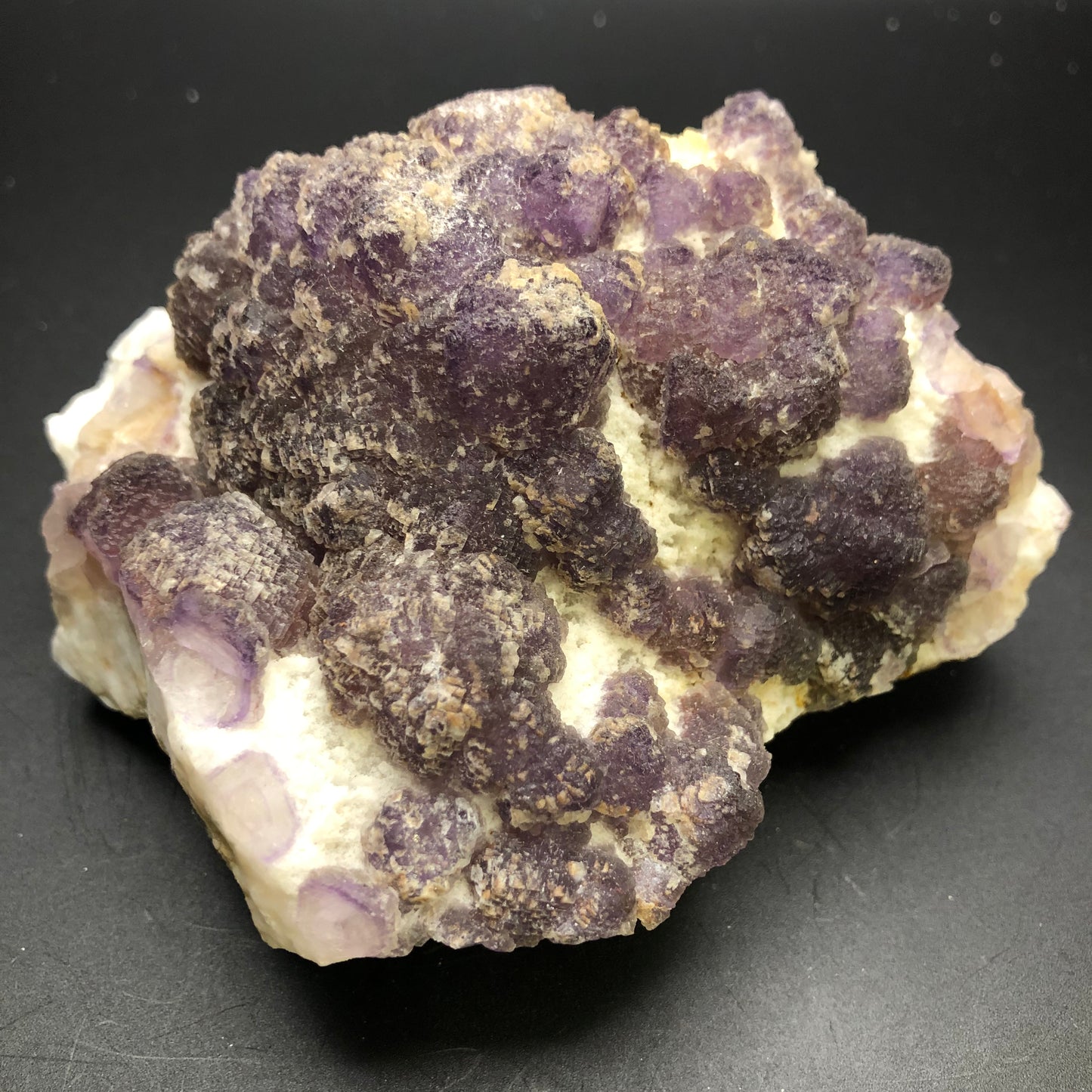 A cluster of AUCTION Fluorite crystals from the Navidad Mine in Indé Municipality, Durango, Mexico by The Crystalary, featuring a botryoidal formation set against a plain black background. The fluorite displays varying shades of purple from light lavender to deep violet, with a textured and rounded surface.