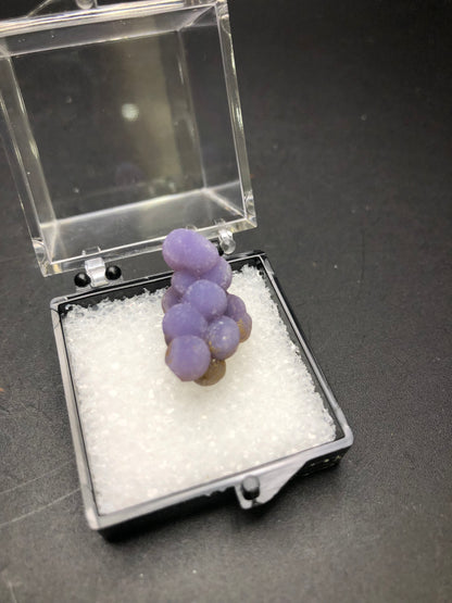 A compact grouping of AUCTION Grape Agate mineral crystals from Mamuju Regency, West Sulawesi Province, Indonesia by The Crystalary is showcased in a transparent hinged box with white padding, set against a dark background.