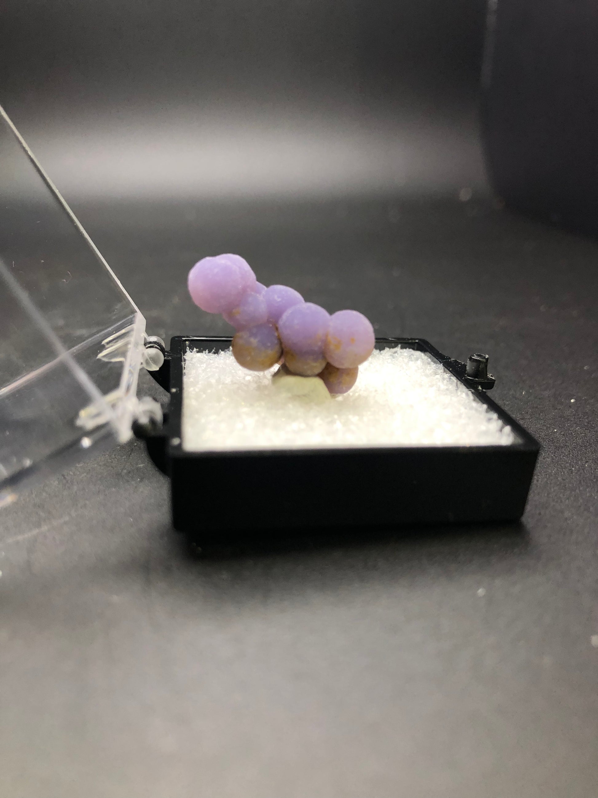 A small cluster of The Crystalary's AUCTION Grape Agate spheres, resembling grapes, is elegantly displayed in a black box with a clear lid. The box is lined with white foam padding, set against a soft-focus, dark surface backdrop. This exquisite mineral specimen originates from Mamuju Regency in West Sulawesi Province, Indonesia.