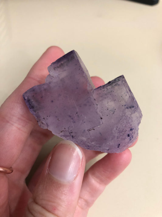 A hand is holding a translucent, purplish fluorite mineral specimen from The Crystalary's LIVE- PrincessPelvis- 9/20/24 collection against a neutral background. The cave-in-rock mineral has a rough, crystalline surface and appears to have natural fractures, giving it an irregular shape. The person's nails are visible, and the image is well-lit.