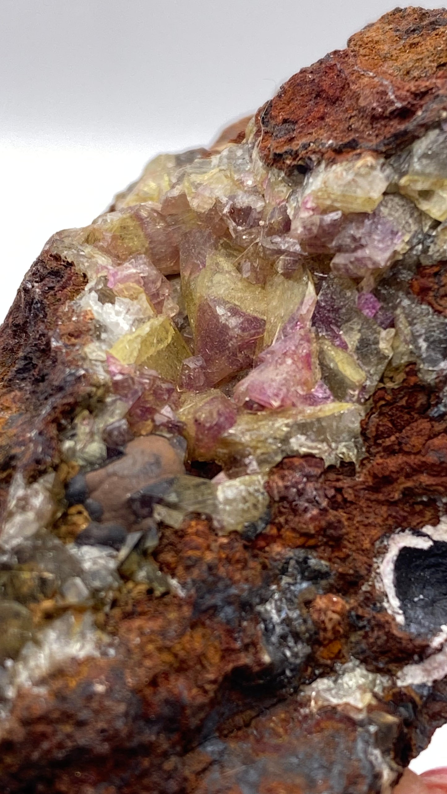 Close-up of a rough rock showcasing an array of embedded, angular crystals in hues of yellow, pink, and purple. Nestled within a rust-colored and gray stone matrix, the formation resembles a geode. Among the vibrant minerals are striking specimens of Purple Adamite (Manganoan) from the renowned Ojuela Mine in Mapimí, Durango, Mexico by The Crystalary.