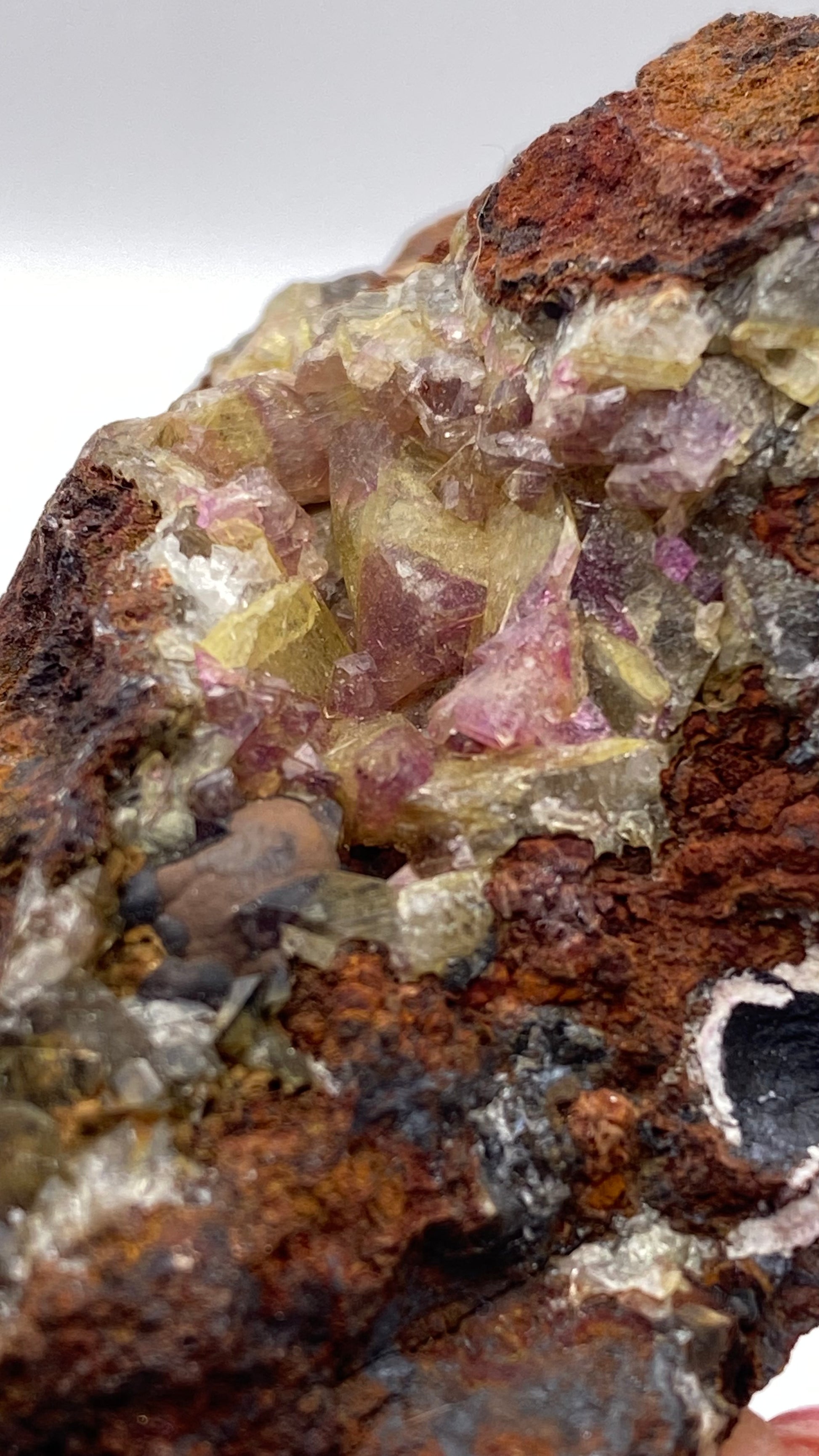 Close-up of a rough rock showcasing an array of embedded, angular crystals in hues of yellow, pink, and purple. Nestled within a rust-colored and gray stone matrix, the formation resembles a geode. Among the vibrant minerals are striking specimens of Purple Adamite (Manganoan) from the renowned Ojuela Mine in Mapimí, Durango, Mexico by The Crystalary.