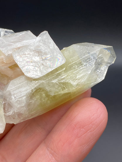 A close-up photo shows a hand holding a stunning cluster of Apophyllite and Stilbite crystals from the Lonavala Quarry, Pune District, Pune Division, Maharashtra, India. These crystals, available from The Crystalary, have a clear and slightly yellowish hue that beautifully contrasts against the dark background. They boast a translucent quality with visible internal structures and a touch of iridescence.