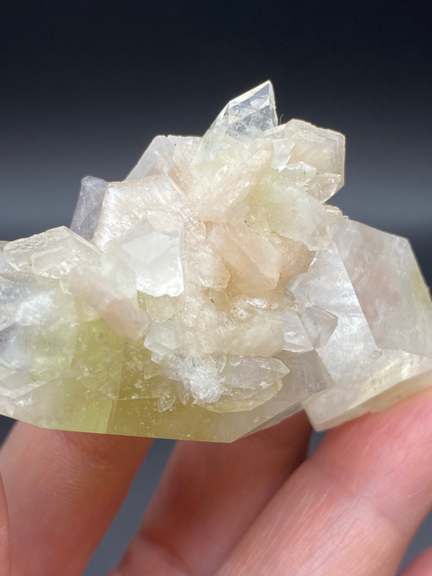 A close-up of a hand holding a cluster of Apophyllite and Stilbite from the Lonavala Quarry, Pune District, Maharashtra, India. The well-formed crystals by The Crystalary showcase beige, clear, and pale green hues with a range of reflections that add a sparkling effect against the dark, blurred background.