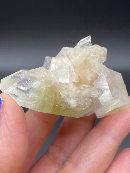 A hand holds a beautiful cluster of translucent, angular Apophyllite crystals from The Crystalary against a dark background. These Apophyllite and Stilbite crystals from the Lonavala Quarry in Pune District, Maharashtra, India, exhibit various shades of pale colors—primarily clear with subtle hints of yellow and light brown. Adding a pop of color to the natural beauty, the person's nails are painted in vibrant blue.