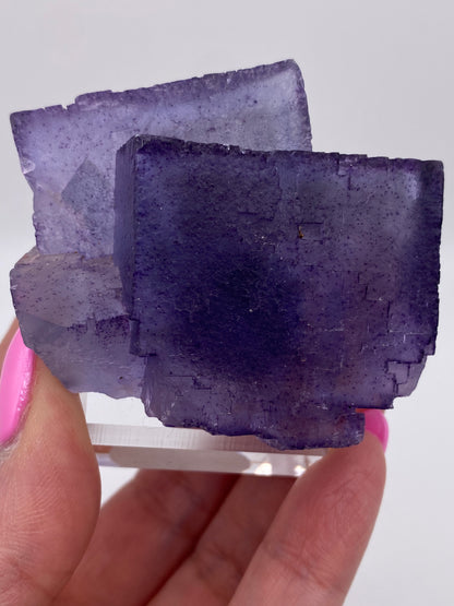 Fluorite- Denton Mine, Harris Creek Mining Sub-District, Hardin County, Illinois, USA