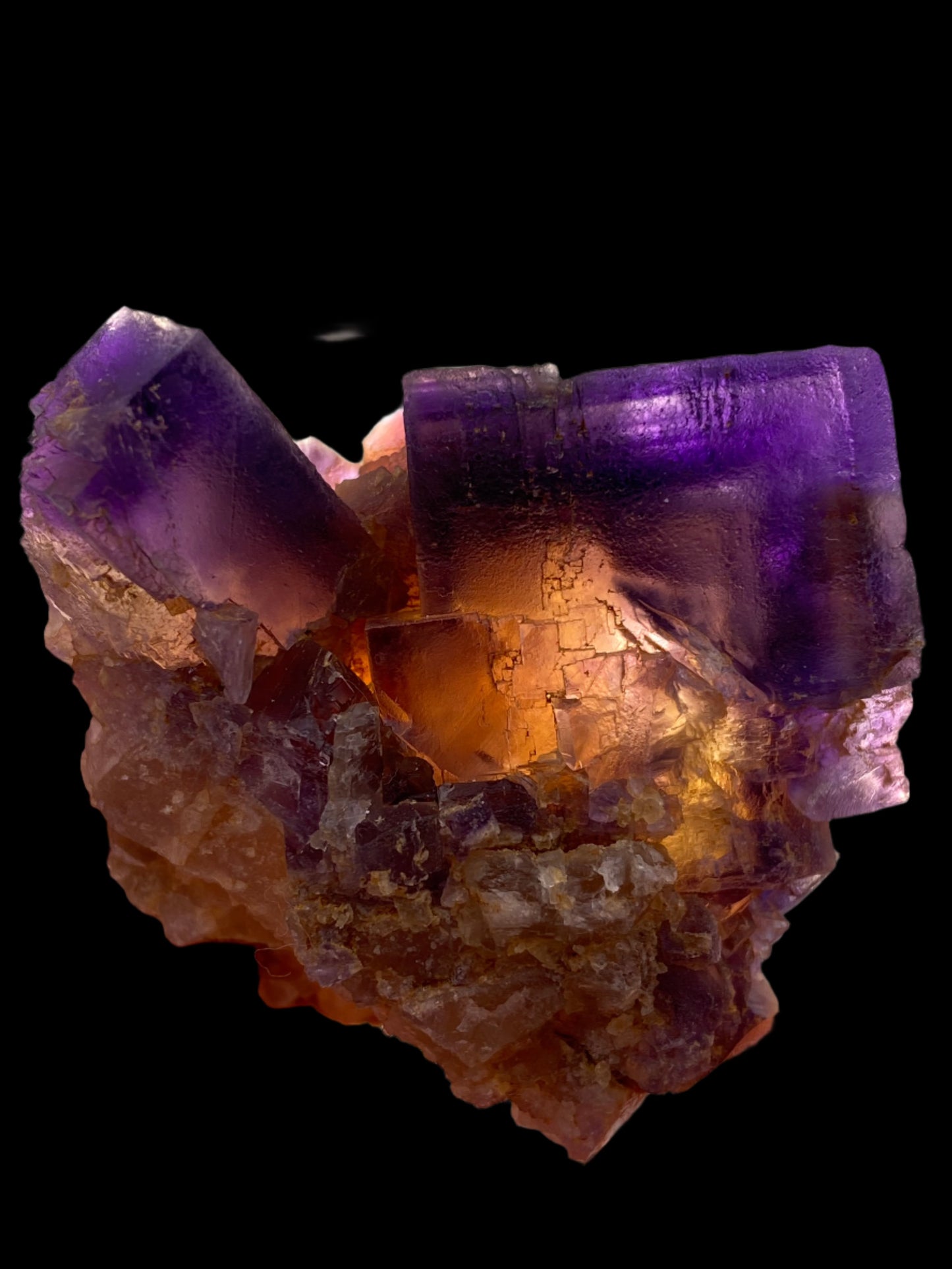 Close-up of a stunning Fluorite formation from the Minerva Mine Number 1, Hardin County, Illinois, sold by The Crystalary, set against a black background. The crystal displays deep purple hues at the top that transition to vibrant orange and yellow tones near the bottom, with rough and jagged textures. The intricate focal cubes enhance its breathtaking appearance.