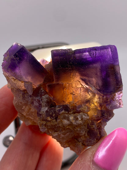 A person's hand with pink-painted nails holds a piece of The Crystalary's Fluorite from Minerva Mine Number 1, Hardin County, Illinois, United States, showcasing a mix of purple and amber hues. The background is blurred, highlighting the vibrant colors and crystalline structure of this renowned mineral.