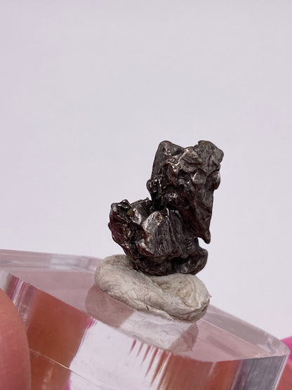 A close-up image features a small, dark metallic rock—an iron meteorite from The Crystalary's Campo del Cielo Meteorite collection in Gancedo, Doce de Octubre Department, Chaco Province, Argentina. It has an irregular shape and is displayed on a white clay-like base atop a clear, faceted stand. The background is plain white with part of a pink object visible on the right edge.