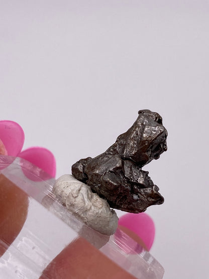 Close-up of a metallic, irregularly-shaped mineral or rock specimen, identified as the Campo del Cielo Meteorite from Gancedo, Doce de Octubre Department, Chaco Province, Argentina. It is held in place by a white, clay-like base branded by The Crystalary. The meteorite's rugged surface is evident as a hand with pink-painted nails holds the base against a blurred background.