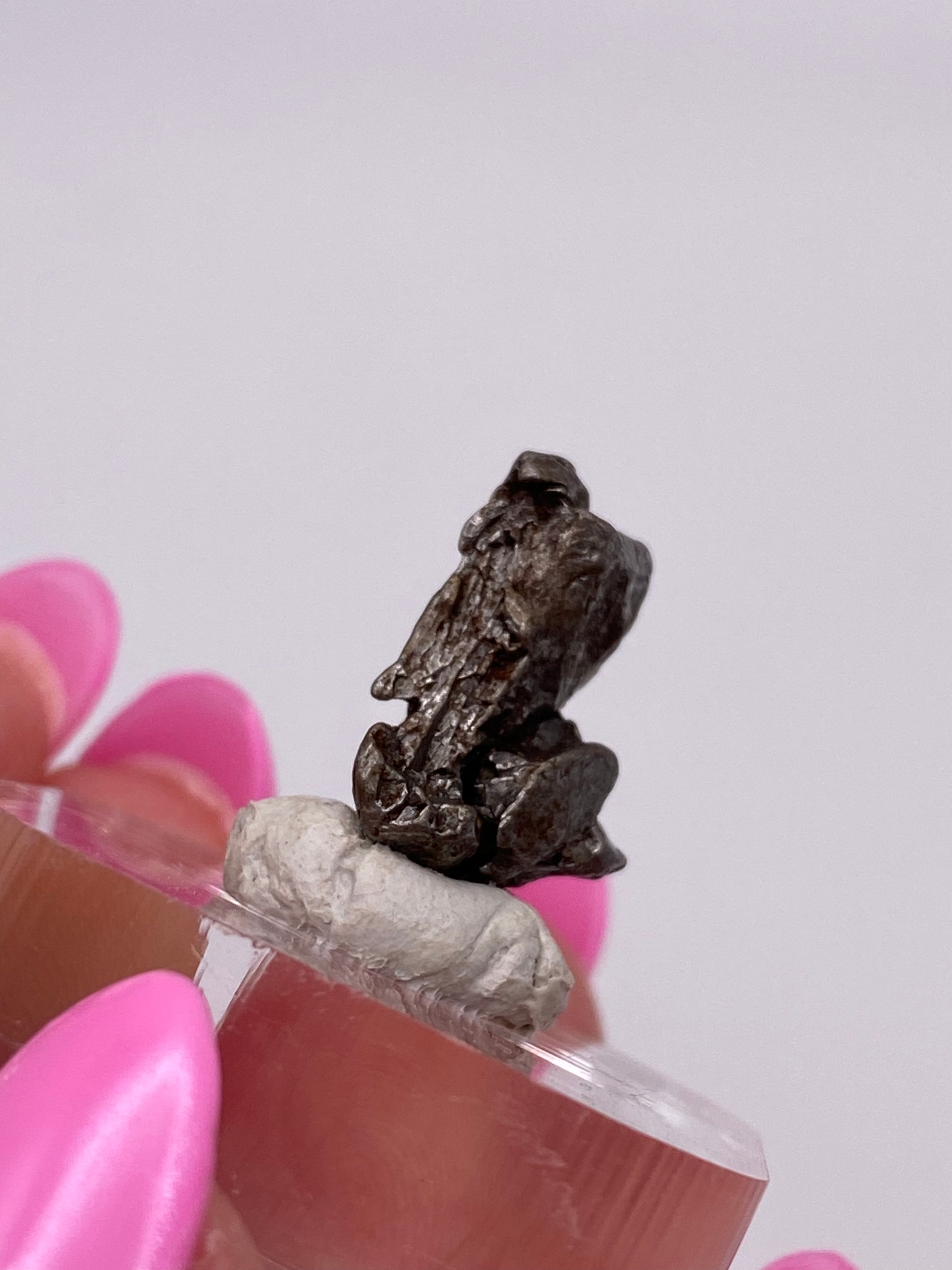 A small, dark-colored Campo del Cielo Meteorite—product from The Crystalary—perched on a clay-like base with a clear stand underneath. A hand with pink nail polish is holding the display, reminiscent of treasures unearthed in Argentina's Chaco Province. The background is plain and neutral.