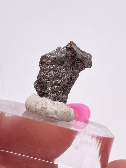 Close-up of a small, rough, dark-colored rock or mineral sample identified as the Campo del Cielo Meteorite - Gancedo from Doce de Octubre Department, Chaco Province, Argentina by The Crystalary. It is mounted on a clay-like base and held with tweezers. The background is blurred and predominantly white with a hint of pink.