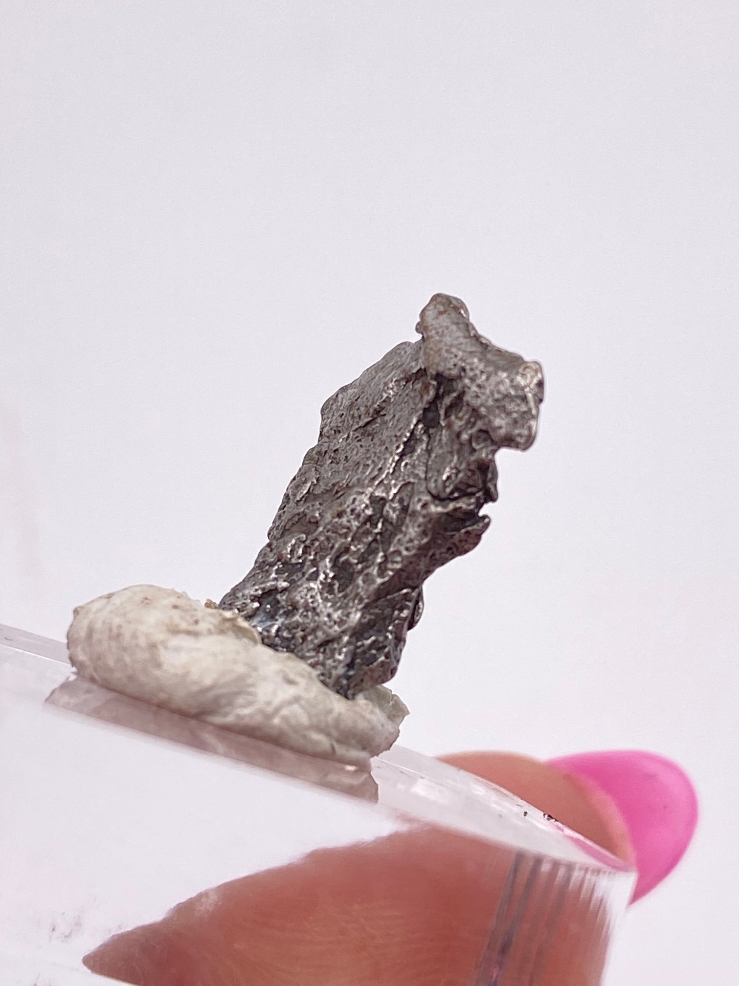 Close-up of a rough, metallic mineral sample from The Crystalary's Campo del Cielo Meteorite - Gancedo, Doce de Octubre Department, Chaco Province, Argentina, mounted on a putty-like substance. The iron meteorite is held between two fingers with pink nail polish against a plain background.