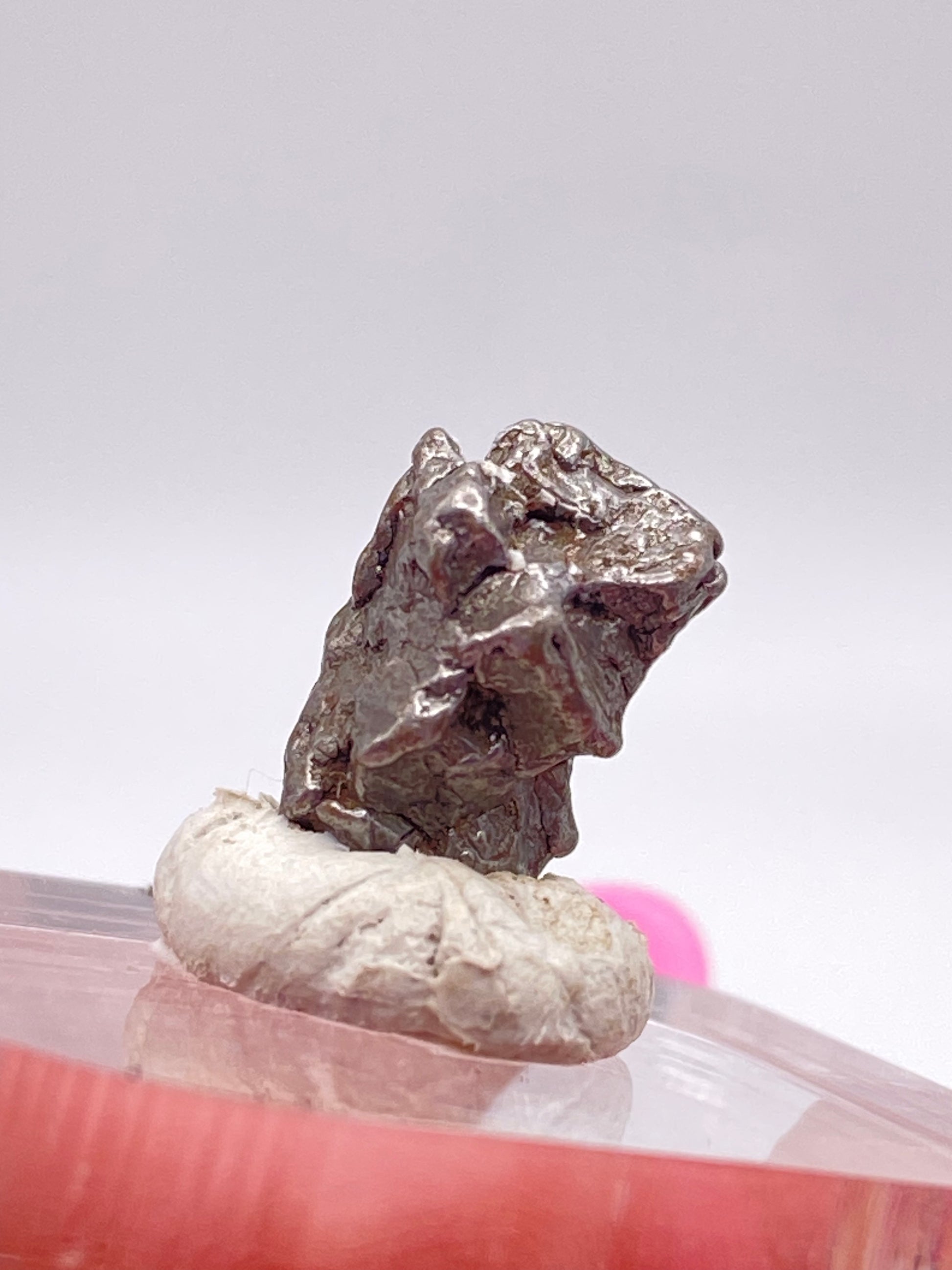 A close-up image of the Campo del Cielo Meteorite from Gancedo, Doce de Octubre Department, Chaco Province, Argentina by The Crystalary, displayed on a pink surface. The rough, irregular surface of the small metallic gray iron meteorite is highlighted against a soft white background and propped up on a beige, textured support.