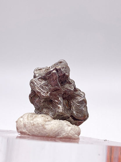 A close-up image of a small piece of dark, irregularly shaped metallic mineral from The Crystalary's Campo del Cielo Meteorite - Gancedo, Doce de Octubre Department, Chaco Province, Argentina, placed on a light-colored base. The background is blurred and white, drawing focus to the iron meteorite's rough texture and lumpy form.