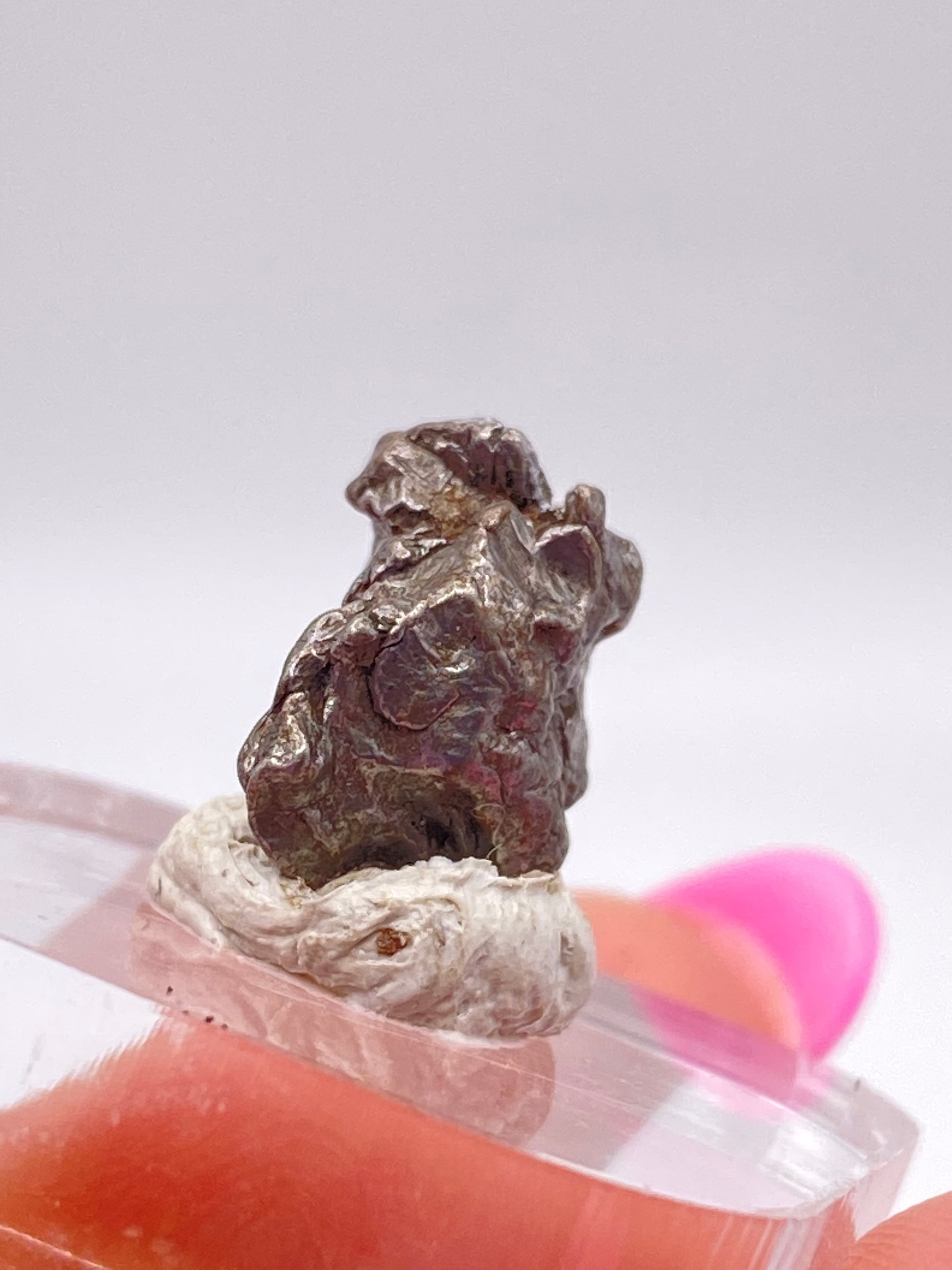 A small piece of the grey Campo del Cielo Meteorite from The Crystalary, sourced from Gancedo, Doce de Octubre Department, Chaco Province, Argentina, is displayed on a clear plastic stand. The stand sits on a light-colored surface with a blurred background. This iron meteorite has a rough, irregular texture and appears slightly metallic.