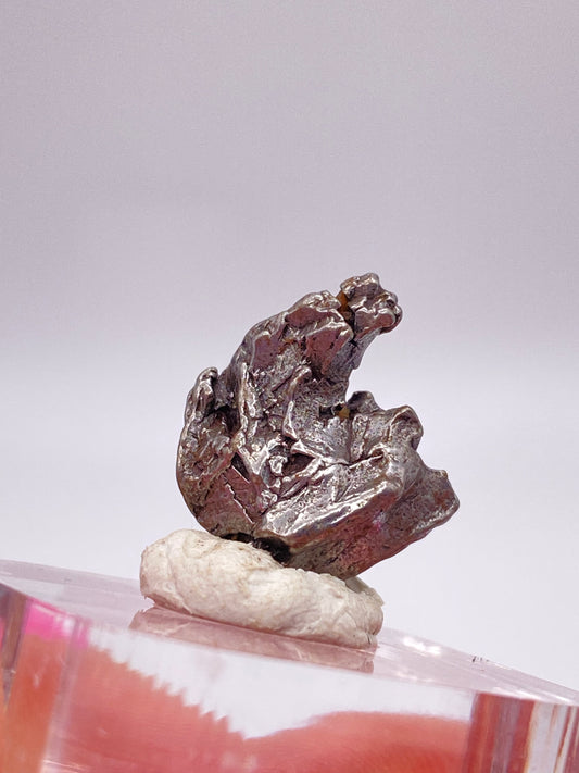 A close-up of a jagged piece of silvery metal, identified as a "Campo del Cielo Meteorite" from Gancedo, Doce de Octubre Department in Argentina, displayed on a white putty base atop a transparent stand. The background features a gradient of soft gray tones. This exquisite piece is offered by The Crystalary.