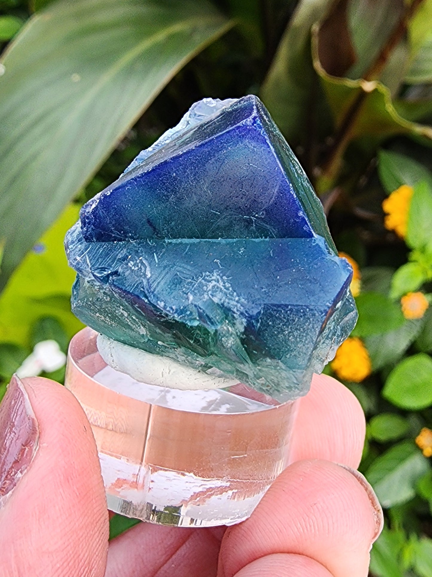 Fluorite- Excavator Terminator, Lady Annabella, Co. Durham, England