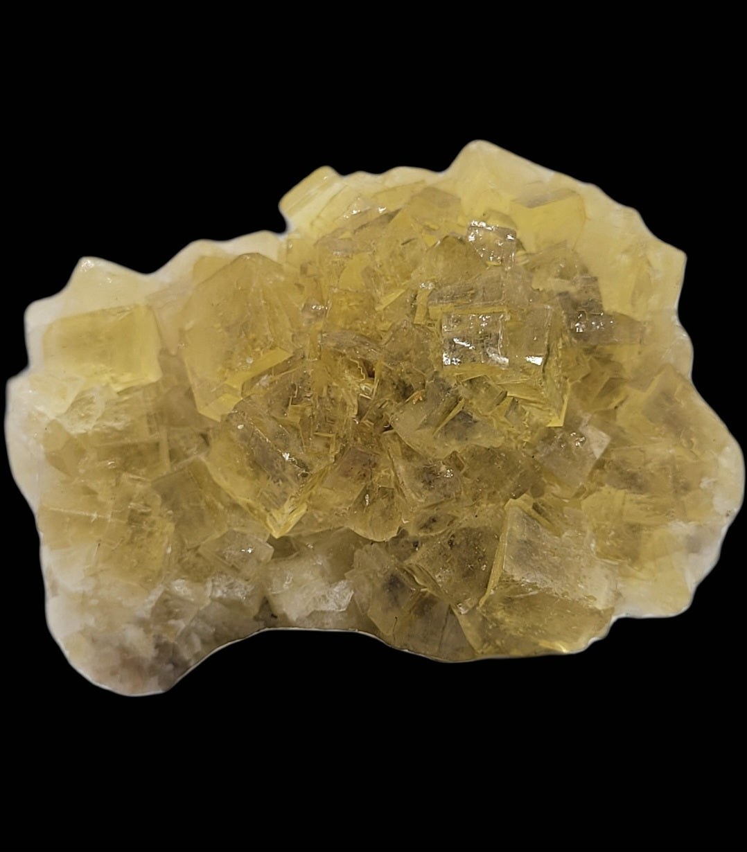 A cluster of miniature, translucent yellow fluorite crystals with a glossy surface, resting on a pale rock base, sourced from the Moscana Mine in El Ponton de Solis, Corvera de Astruias, Spain. Presented by The Crystalary against a solid black background. SKU 808.