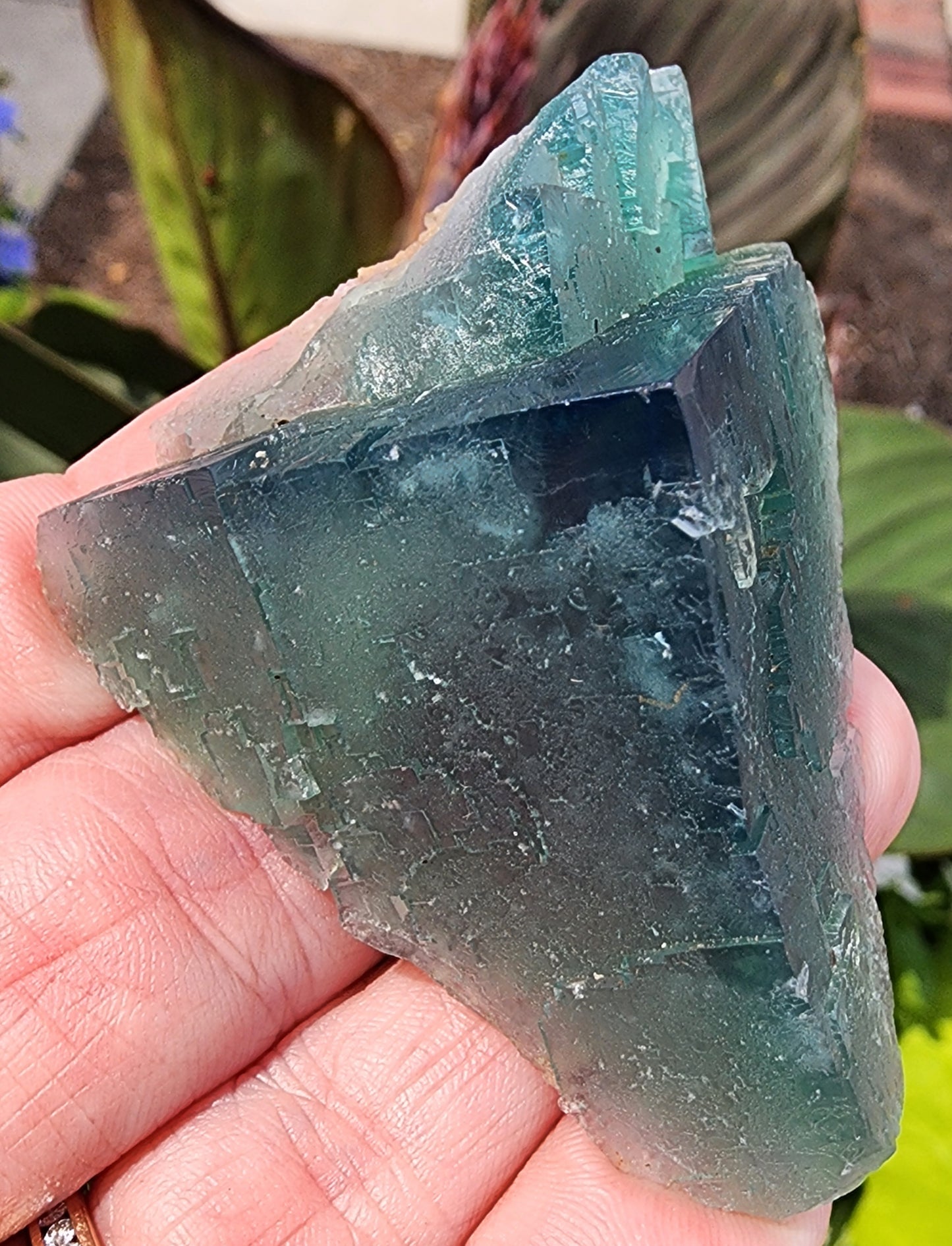 Fluorite- Poison Ivy Pocket, Lady Annabella, Co Durham, England, UK