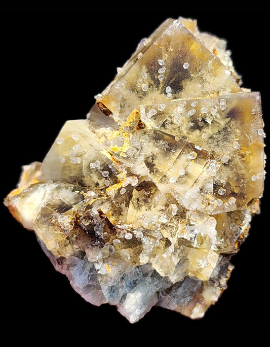 A close-up of a crystalline mineral specimen, featuring transparent, angular formations with a yellowish-brown tint. Small, sparkly white crystals are scattered on the surfaces of the larger crystal faces. This stunning Fluorite piece from the River Catcher Vein at the Diana Maria Mine in Frosterley, Weardale, Co. Durham, England is set against a solid black background by The Crystalary, highlighting its detail.