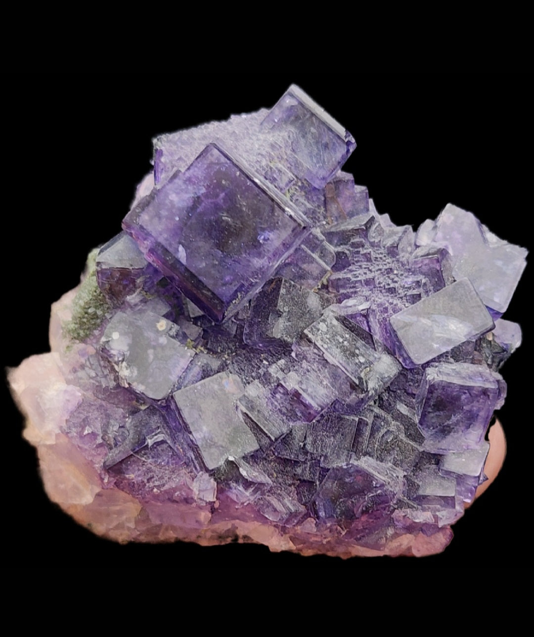 These striking purple fluorite crystals from The Crystalary's "Fluorite- Larkin's Quarry, Shannapheasteen, Costelloe, Connemara, Galway County, Connacht, Ireland" collection (sku3002) exhibit medium clusters of high-luster cubes with square formations. Resting on a light-colored rock base, their slightly translucent appearance reveals stunning shades of purple.