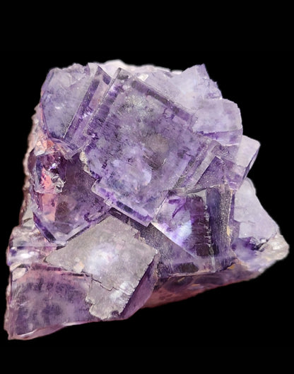 A stunning cluster of Fluorite from The Crystalary, sourced from Larkin's Quarry in Galway County, features cubic shapes with a stained glass effect shimmering against a black background. These purple treasures reveal their translucent quality, showcasing mesmerizing shades of varying purple tones.