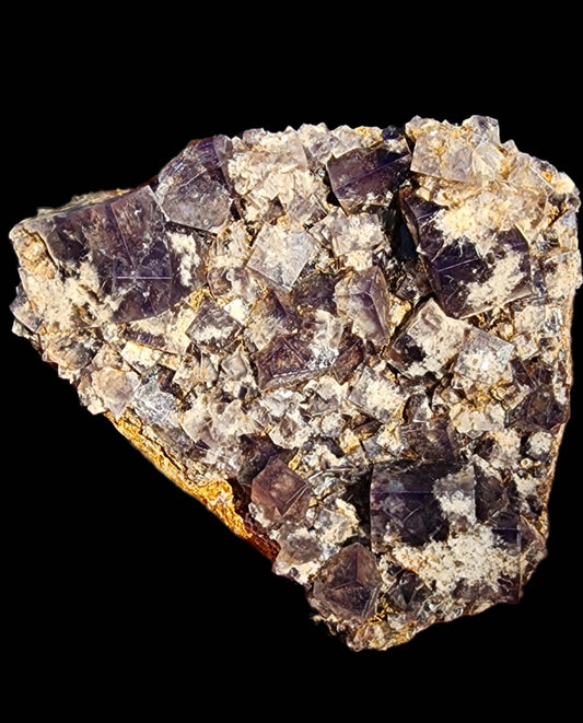 Displayed against a black background is "Fluorite - Smoky Rabbit Pocket" from the Diana Maria Mine, offered by The Crystalary. This exquisite piece showcases a cluster of cubic fluorite crystals in varying shades of purple, set in a beige matrix. The crystals feature a shiny, glass-like surface that captivates with their raw beauty.