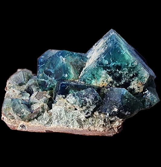 A close-up features the striking Fluorite- Greedy Hog pocket specimen from The Crystalary, sku 3074, sourced from Diana Maria Mine in Co Durham, UK. This vibrant piece showcases blue and green angular crystals with a rough beige base against a black background. The crystals exhibit a geometric structure with reflective surfaces.